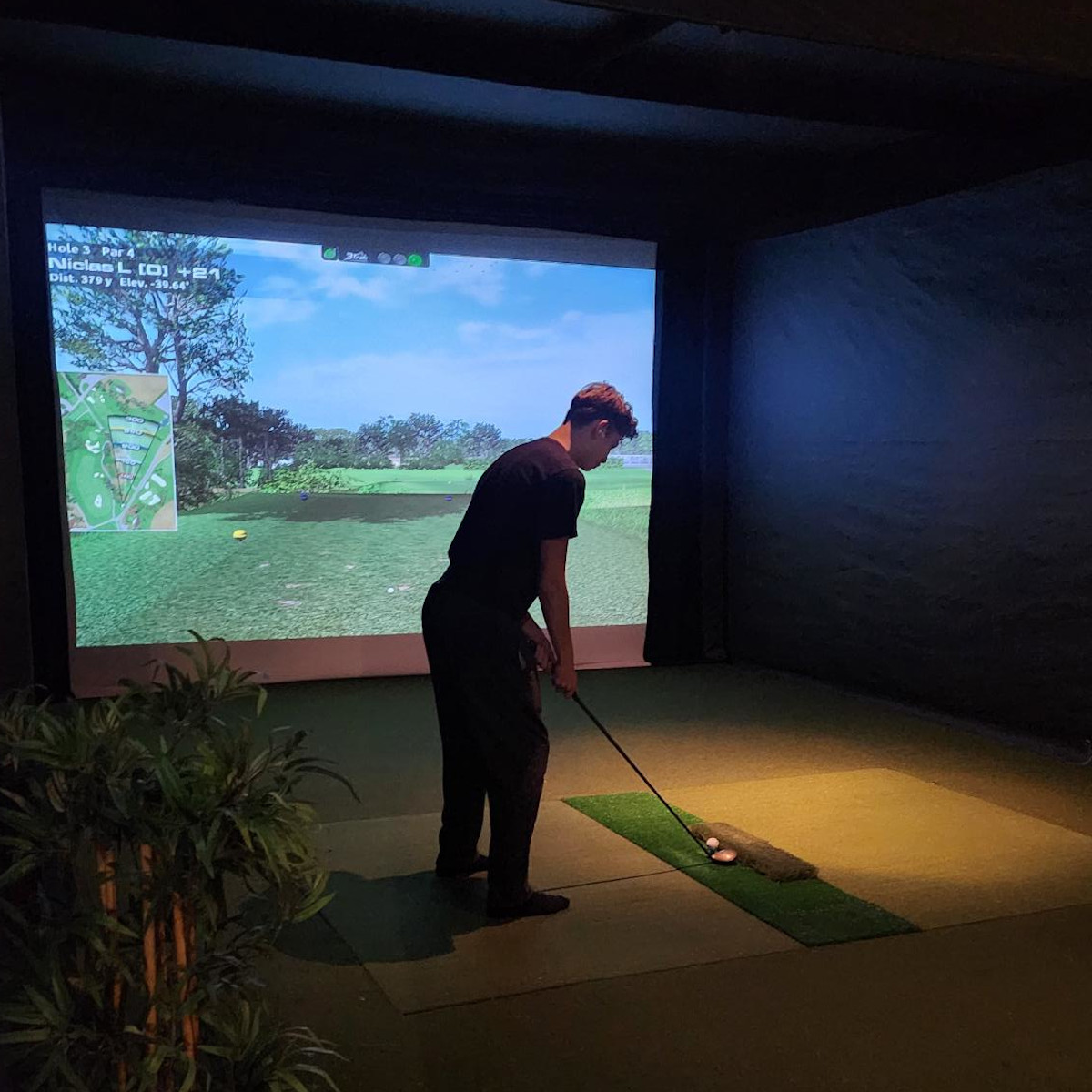 Simulator golf